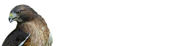 Heilker Foundation